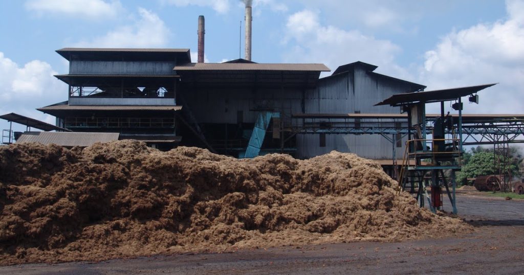 Malaysian biomass